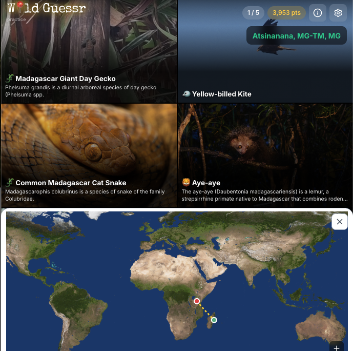 Wild Guessr screenshot